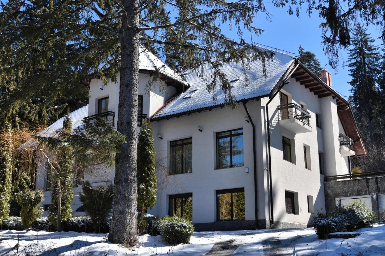 Hotel Vila Daria Poiana Brașov Exterior foto