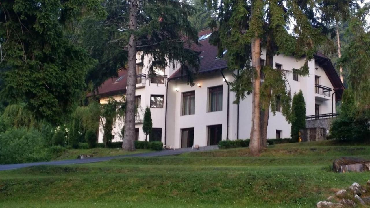 Hotel Vila Daria Poiana Brașov Exterior foto