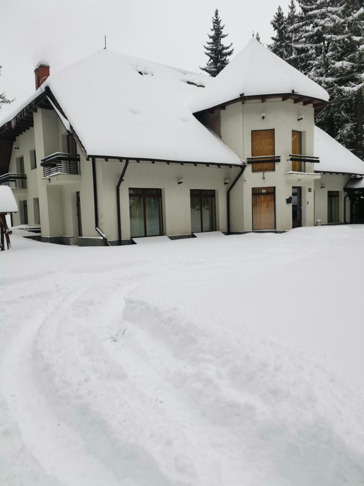 Hotel Vila Daria Poiana Brașov Exterior foto